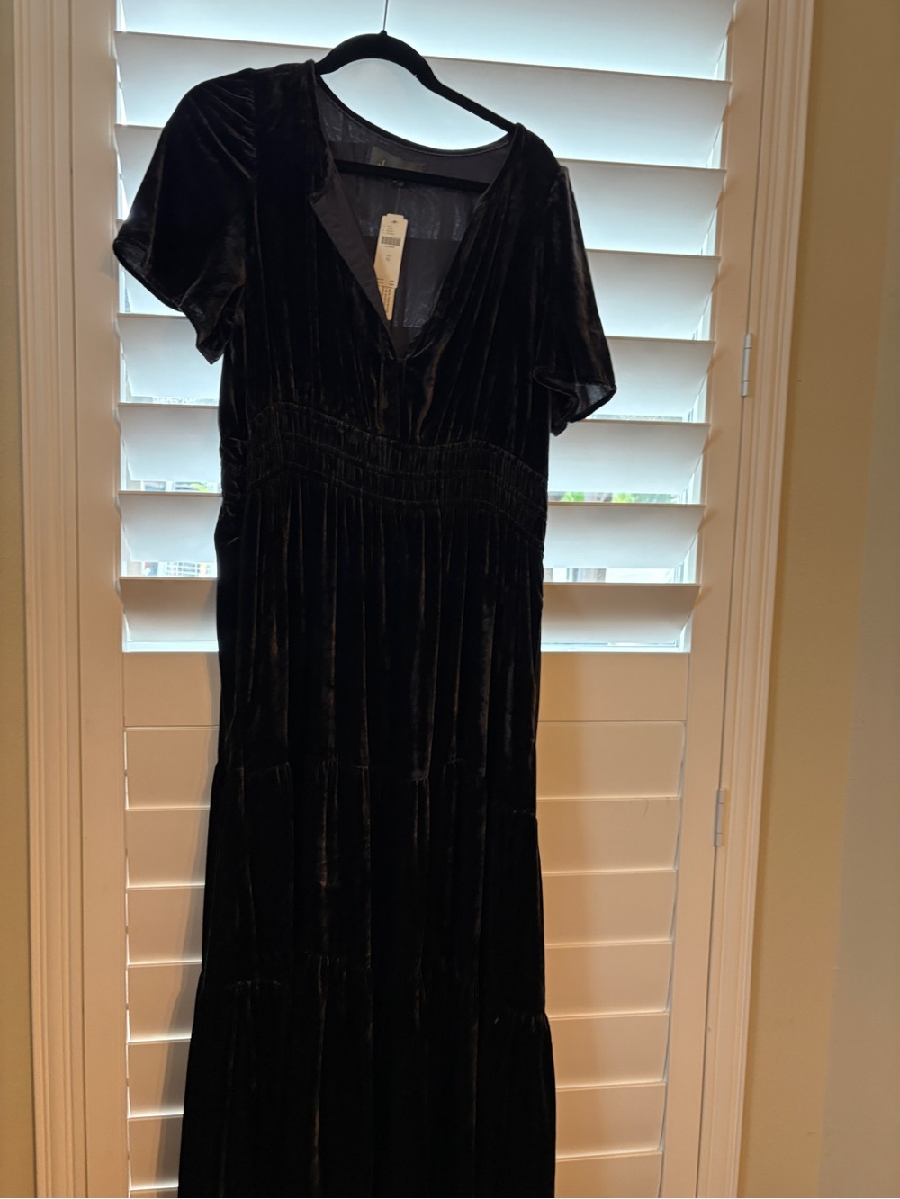 Anthropologie Black Velvet Maxi Dress, more like dark plum.